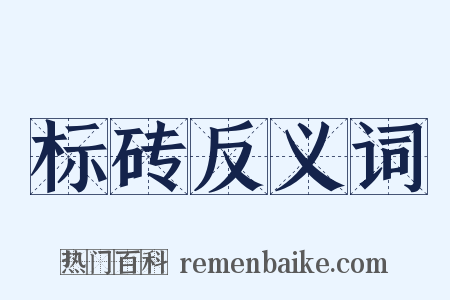标砖反义词是什么意思的图片